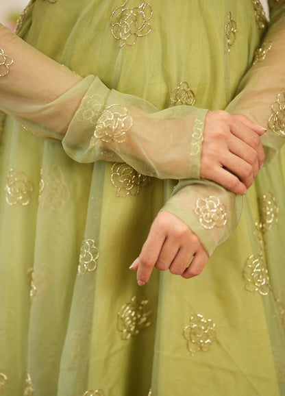 Fully Stitched Soft Semi Viscose Gown with Dupatta |Paip Sequence Work