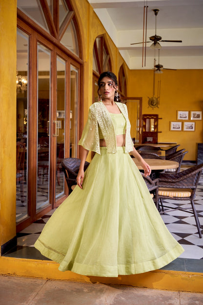 Allnen Crush Lehenga Choli with Embroidered Koti Set