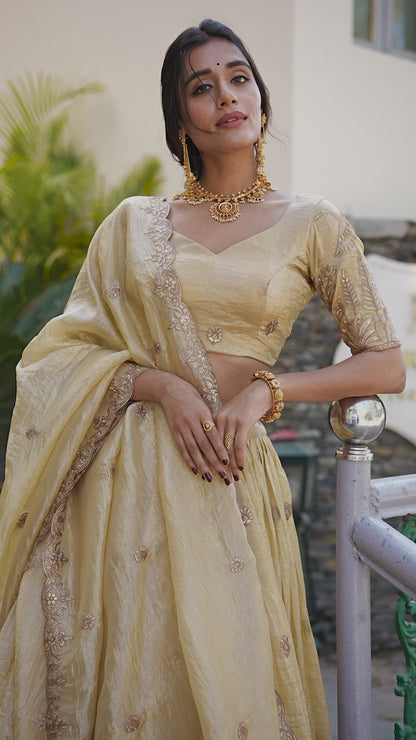 Gold Crush Sequins Embroidered Lehenga Choli Set